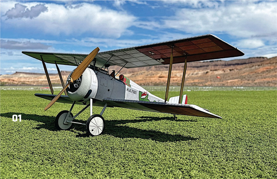 Model biplane on grass, blue sky, and desert landscape in the background.