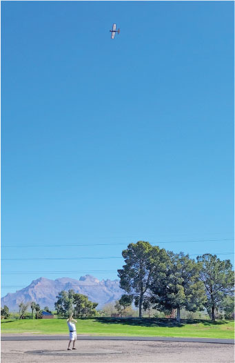 Person flying a model plane under a clear sky, with trees and mountains in the background.