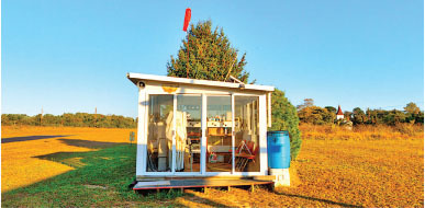 Small glass cabin with tree on roof in a sunny field.