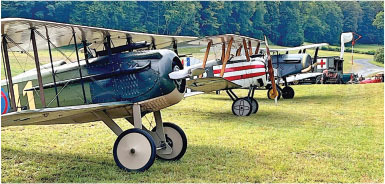 Vintage biplanes lined up on grass, forest in the background.