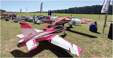 Model airplanes displayed on a grassy field under a clear sky.