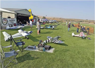 Remote-controlled planes displayed on grass at an outdoor event.