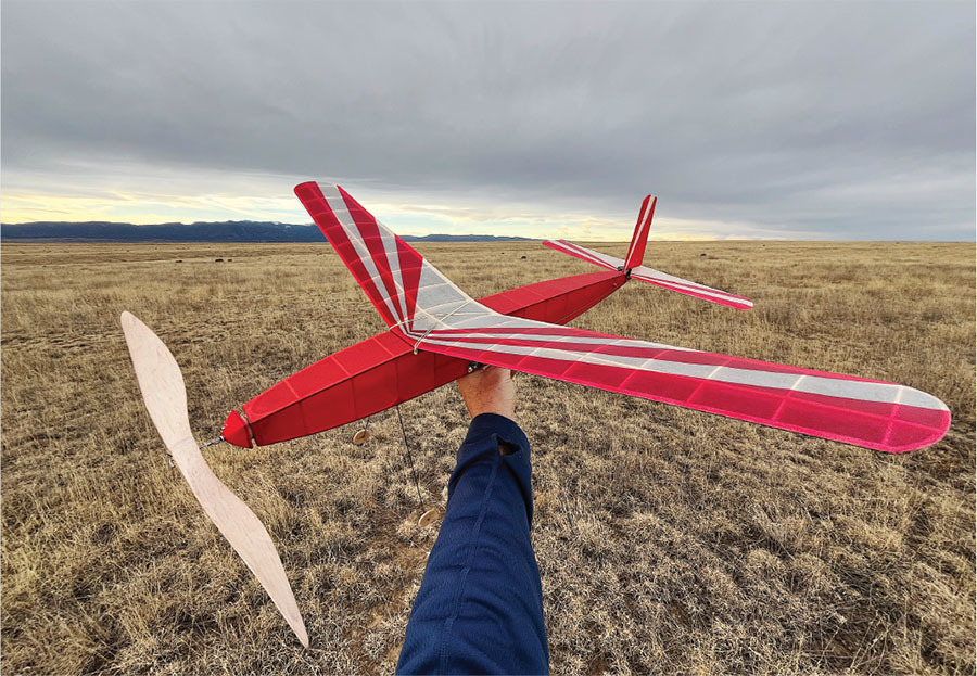 Hand holding a red model glider against a cloudy sky over a grassy field.