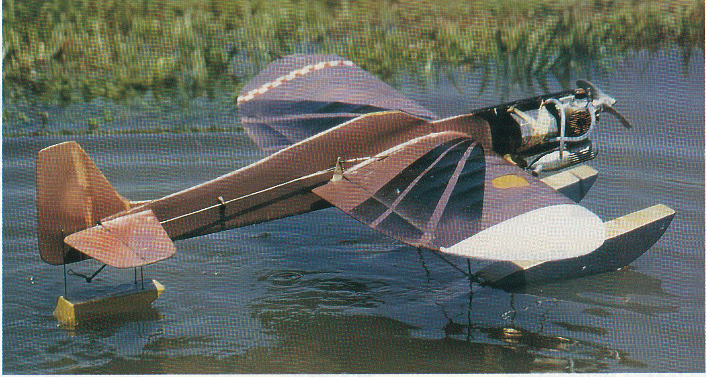 A small model biplane with pontoons floats on water, grassy background.