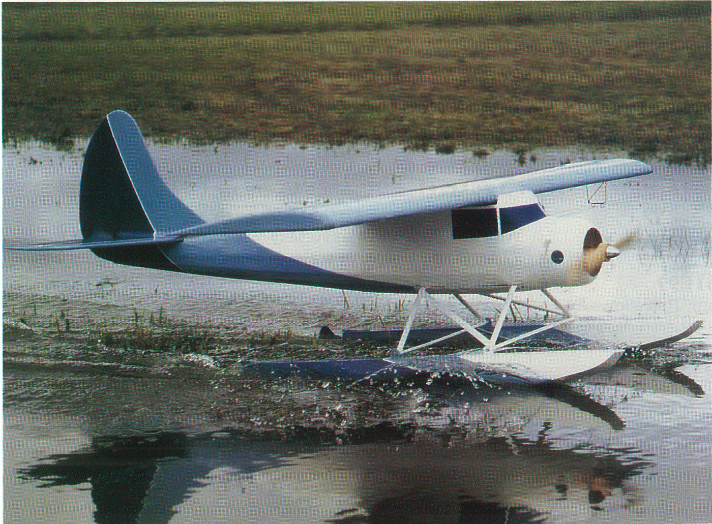 Seaplane landing on a calm body of water with grassy shore in background.