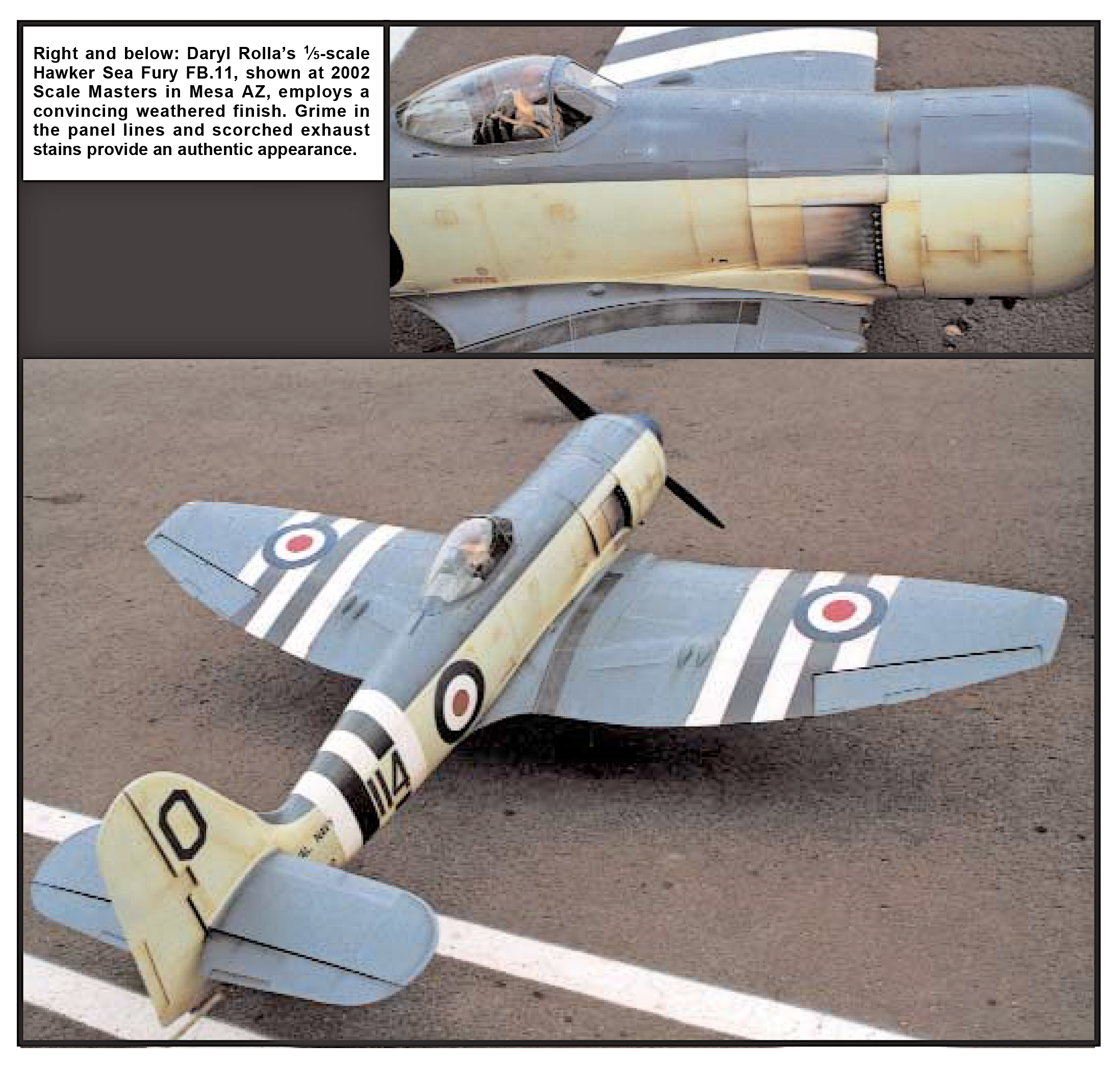 Scale model of a WWII Hawker Sea Fury airplane on a runway; RAF roundels visible.