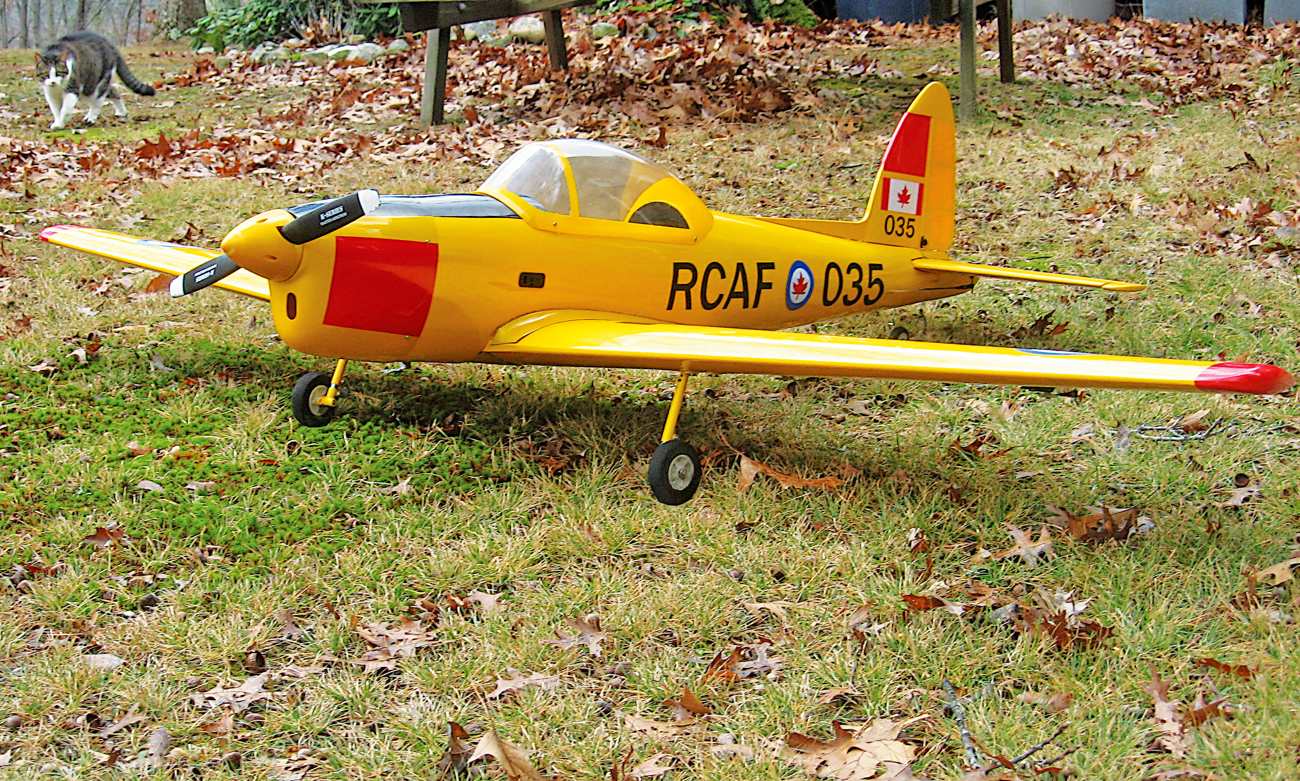 Yellow model airplane with "RCAF 206" on side, on grassy ground.