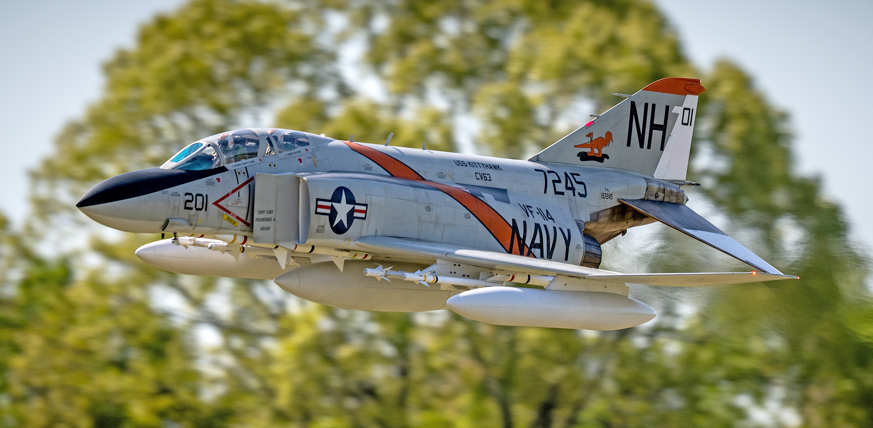 Fighter jet flying against a backdrop of blurred green trees.