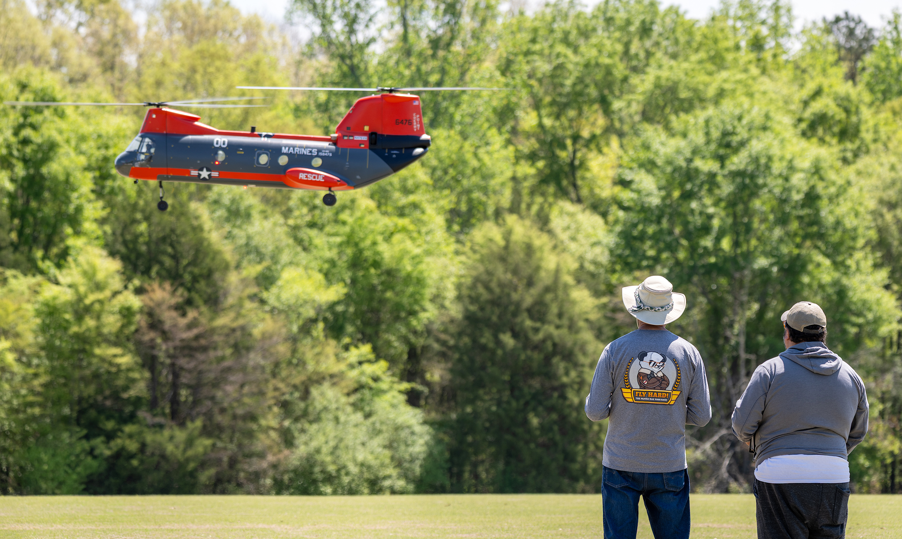 Red and gray RC helicopter flies above grass; two people watch, trees in background.