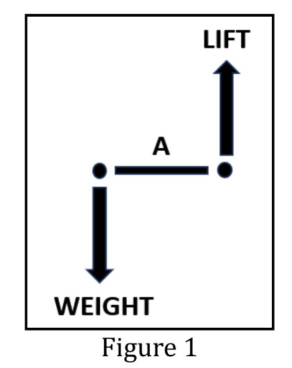 Diagram with two arrows: one labeled "WEIGHT" pointing down, one "LIFT" pointing up.