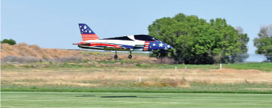 Jet with American flag design flying low over grass field.