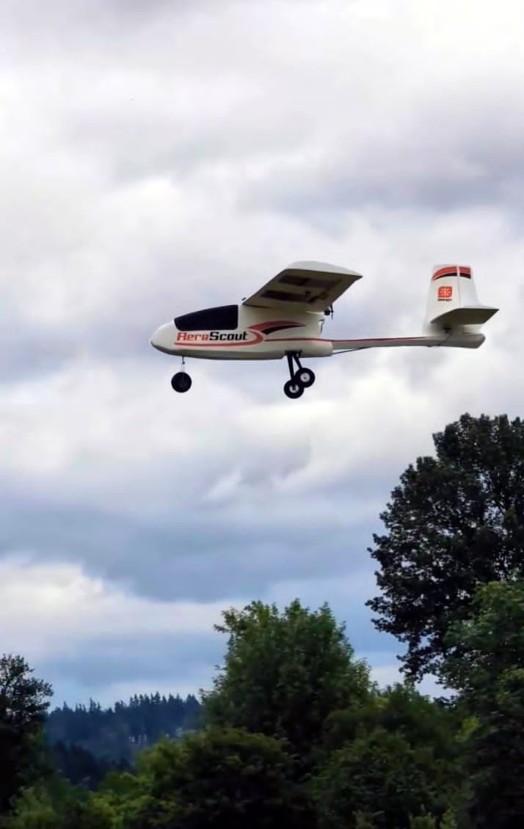 Giant AeroScout in the sky