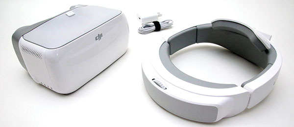 DJI Goggles Immersive FPV Headset | Model Aviation