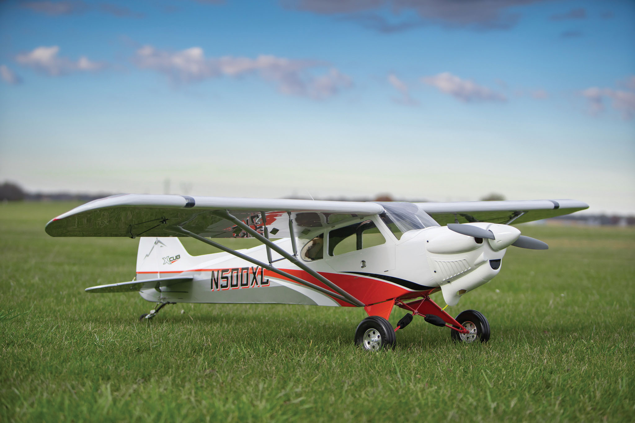 Officially Licensed Xcub Provides Versatility | Model Aviation