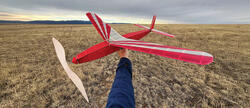 Hand holding a red model glider plane over a dry field.