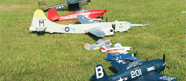 Model aircraft on grass in various colors and sizes.