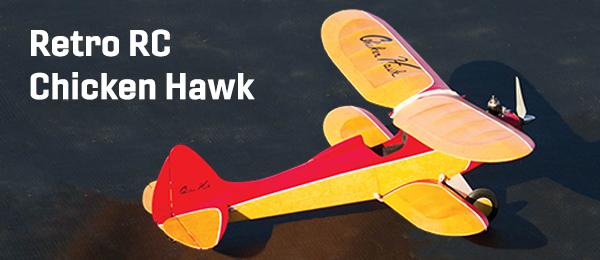 chicken-hawk-benjamin