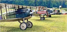 Vintage biplanes lined up on grass, forest in the background.